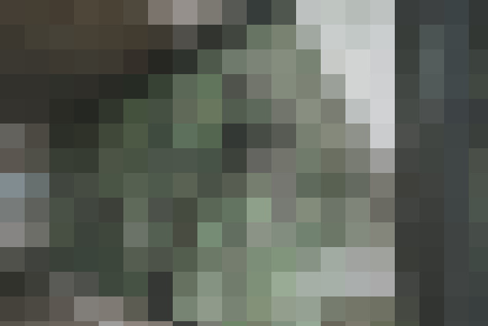  / #17