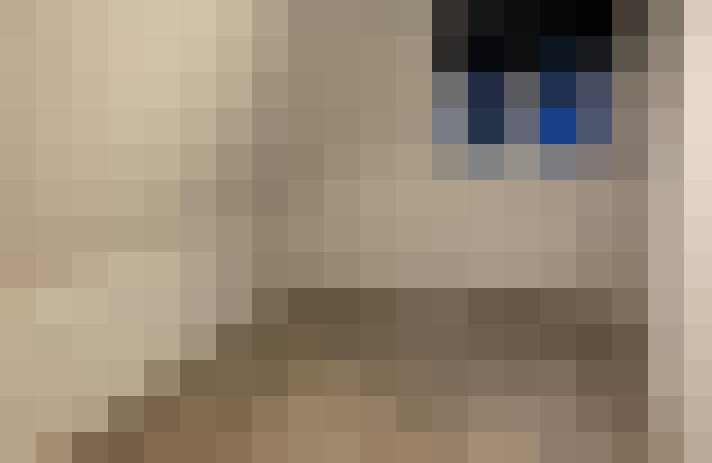  / #11