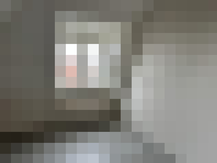  / #19