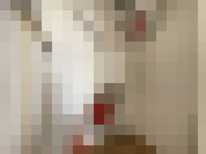  / #19