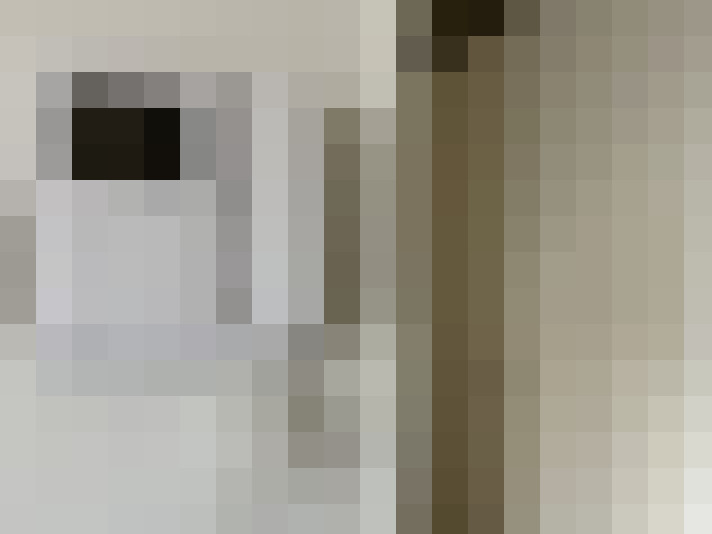  / #20