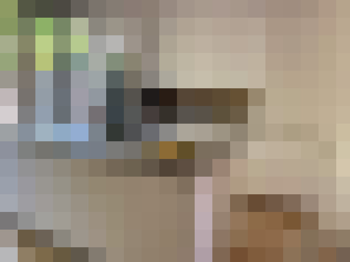  / #17