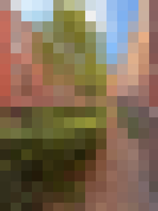  / #17