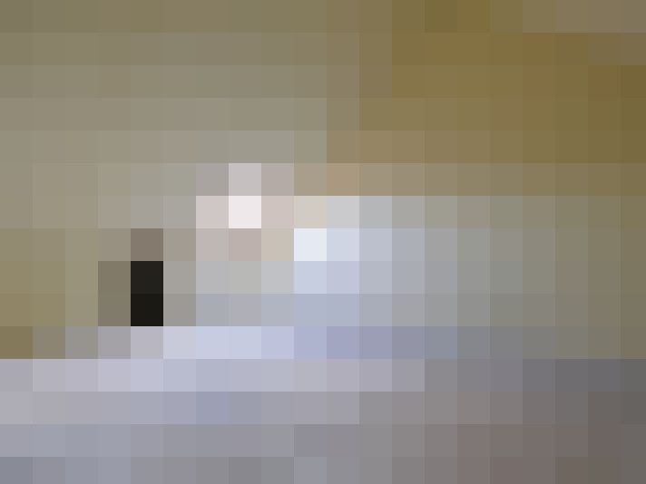  / #16