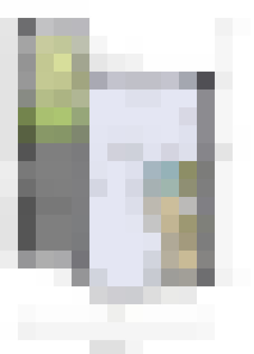  / #19