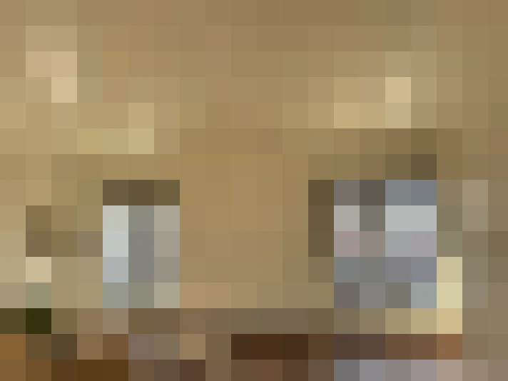  / #24