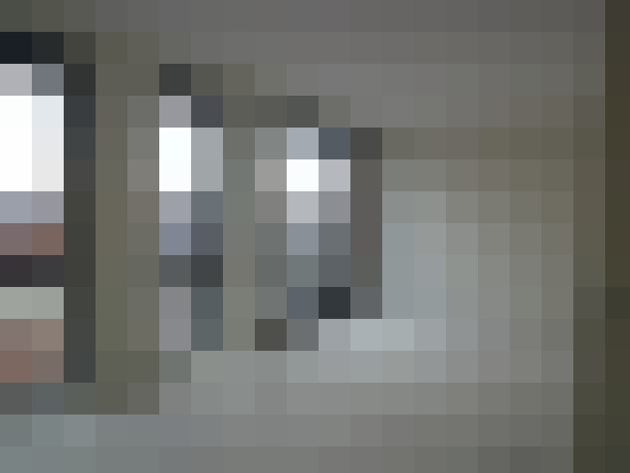  / #16