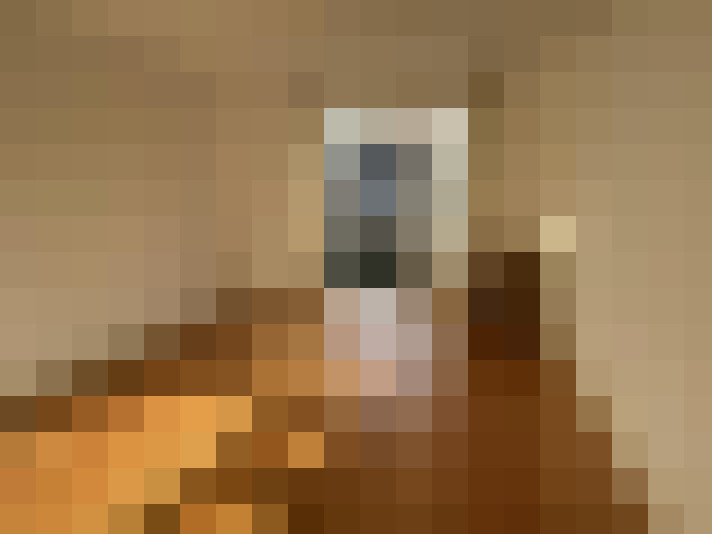  / #7