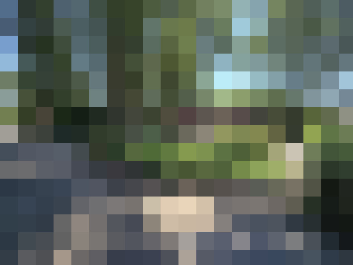  / #16