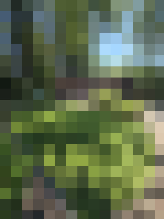  / #15