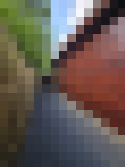  / #33