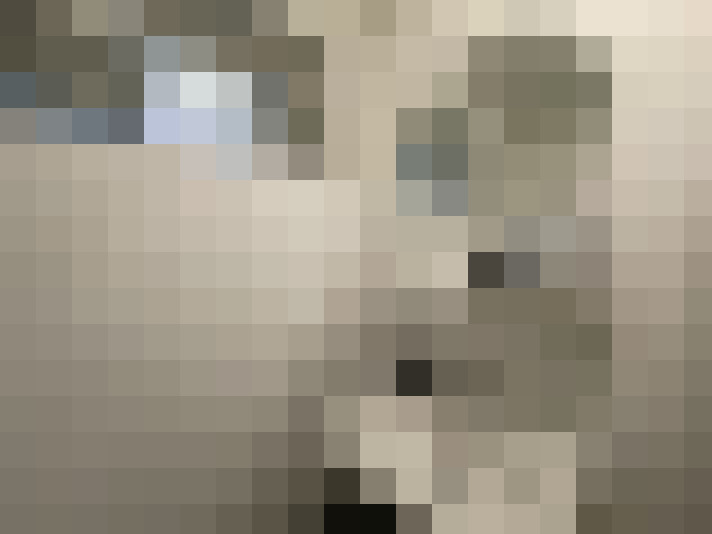  / #13