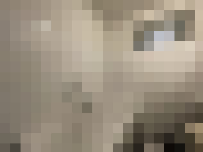  / #12