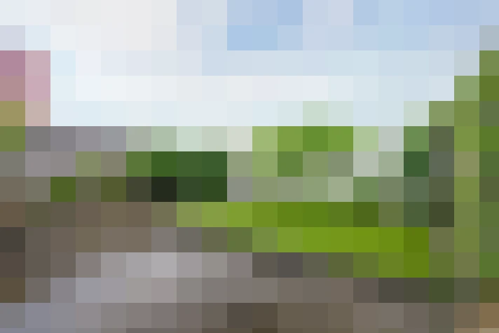  / #68