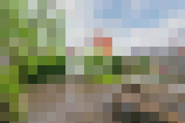  / #78