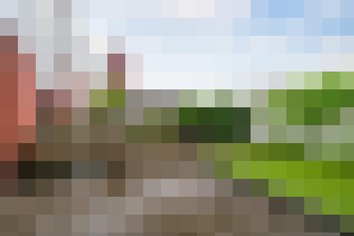  / #69