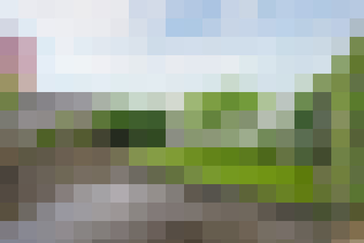  / #67