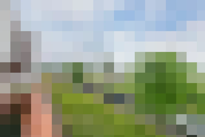  / #64