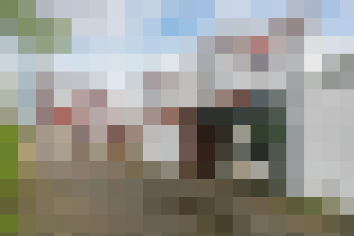  / #82