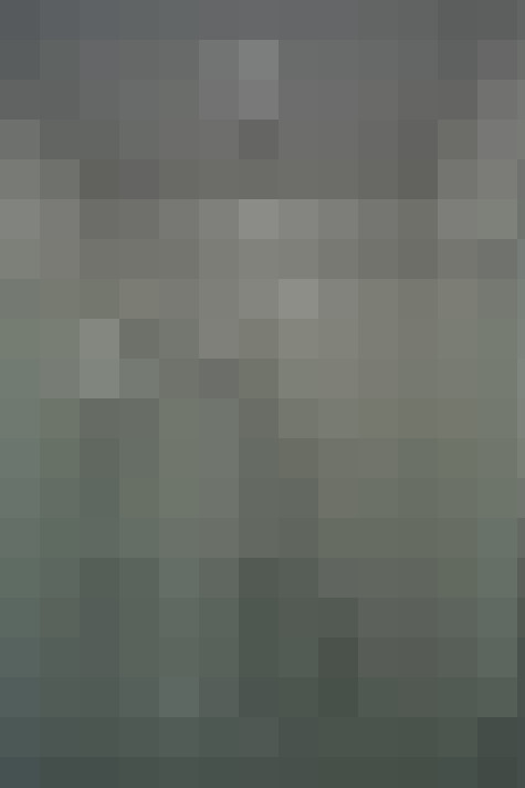  / #18