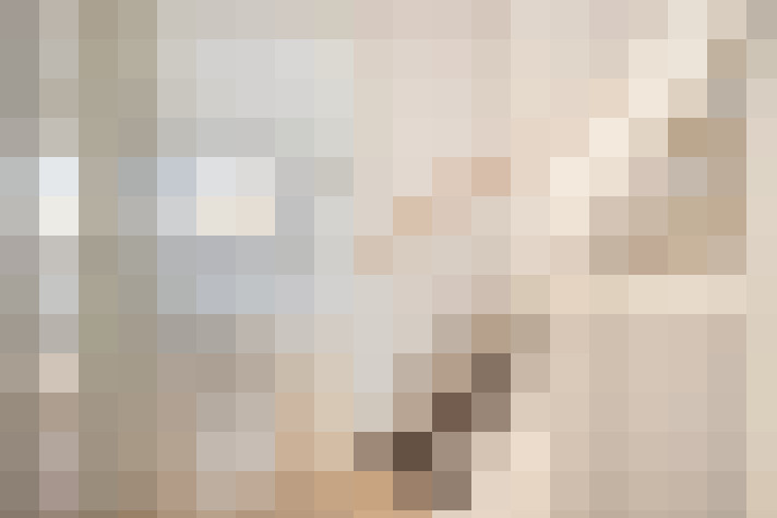  / #17