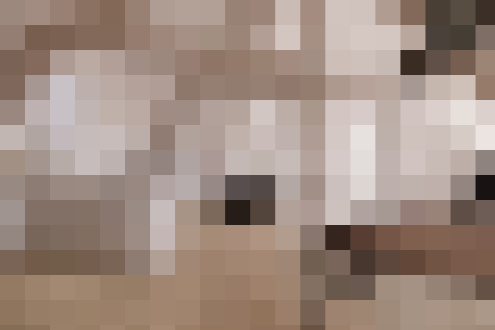  / #11