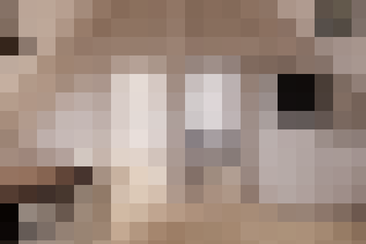  / #12