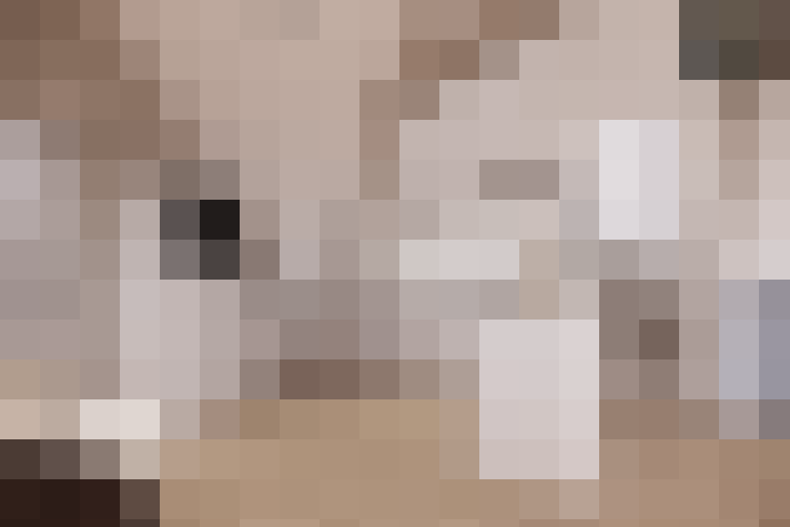 / #9