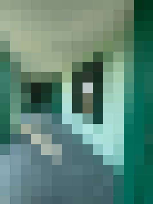  / #19