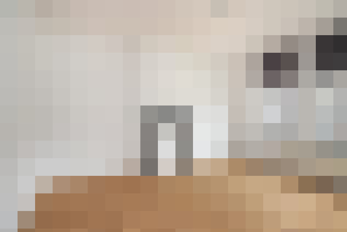  / #15