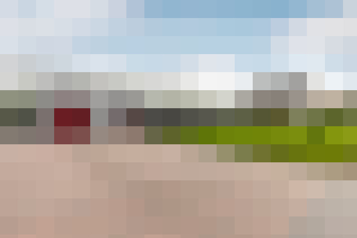  / #67