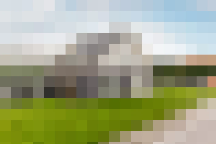  / #65