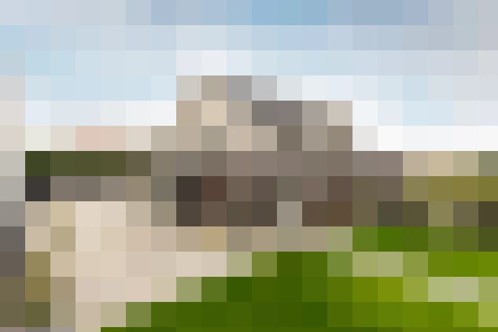  / #74