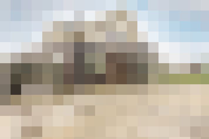  / #61