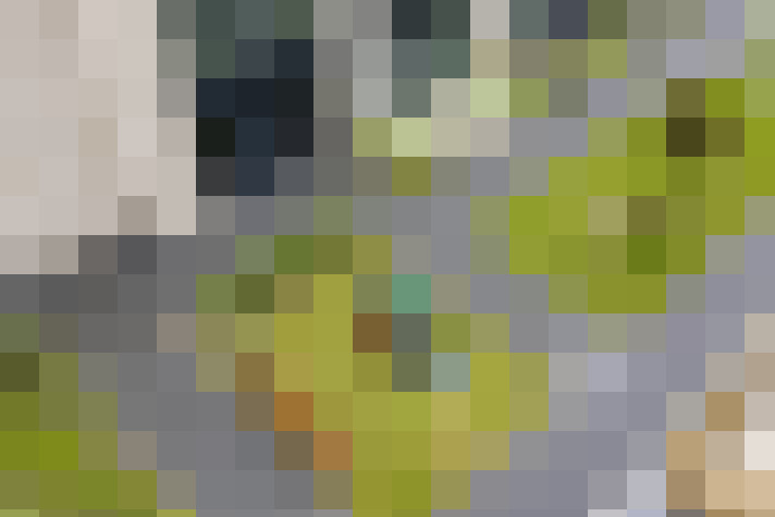  / #19