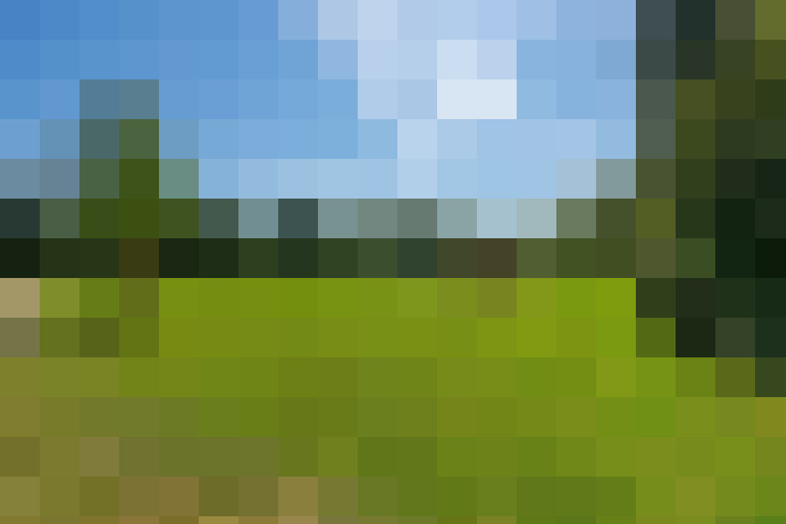  / #37