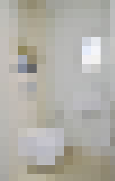  / #17