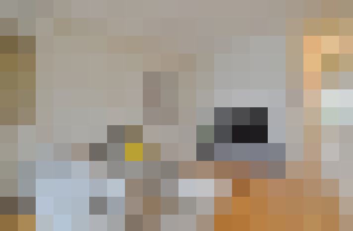  / #14