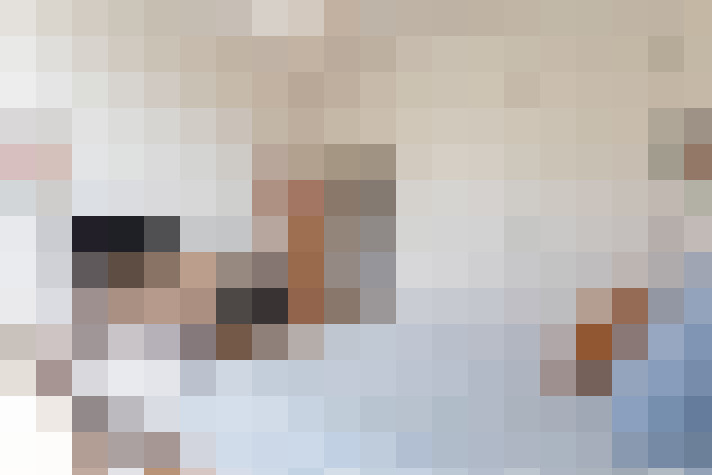  / #24