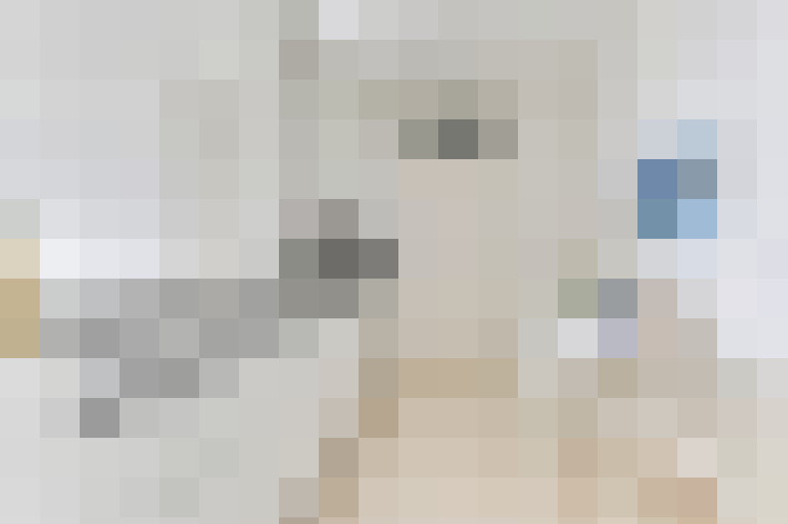 / #16