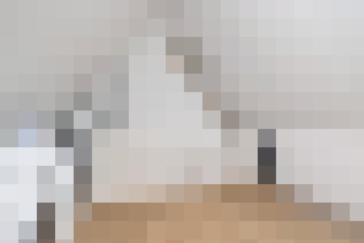  / #19