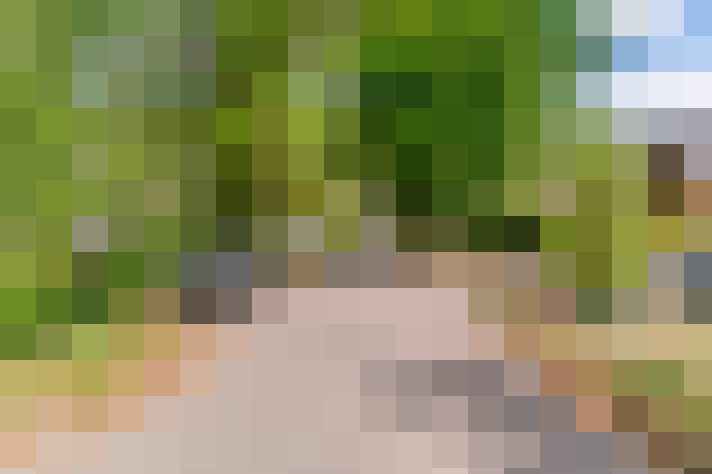  / #51