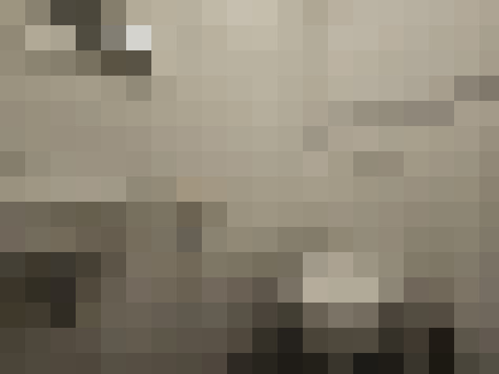  / #24