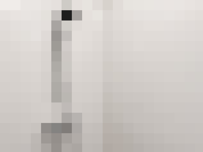  / #6