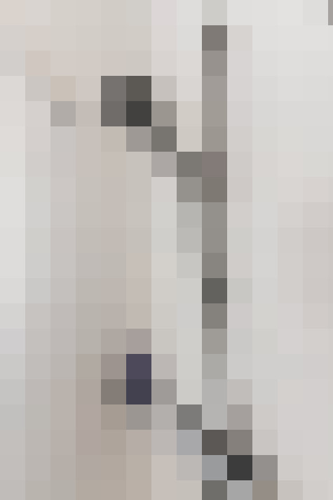 / #18