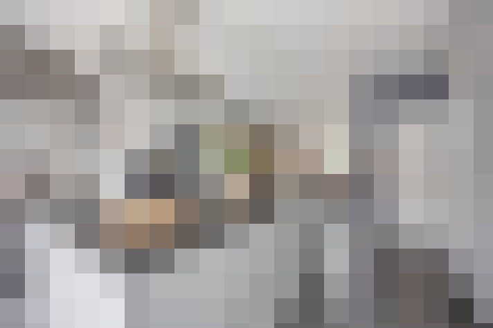  / #14