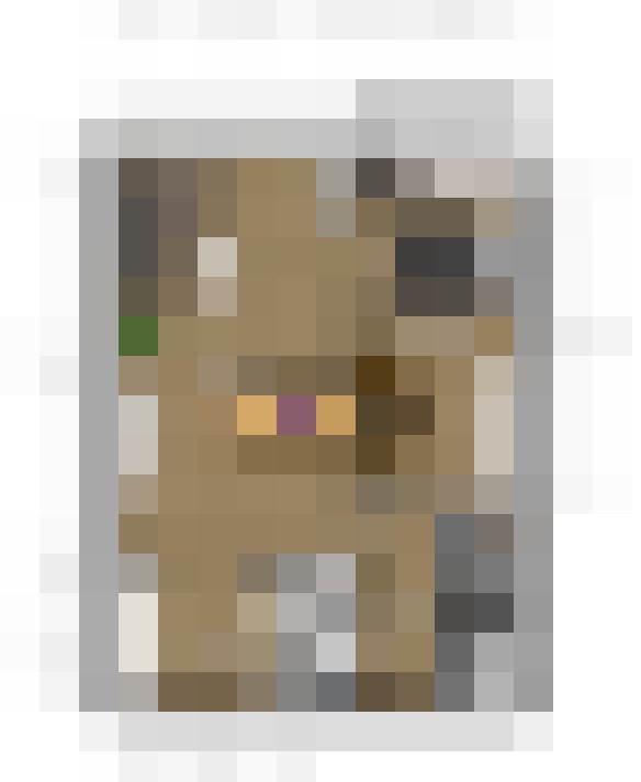  / #18