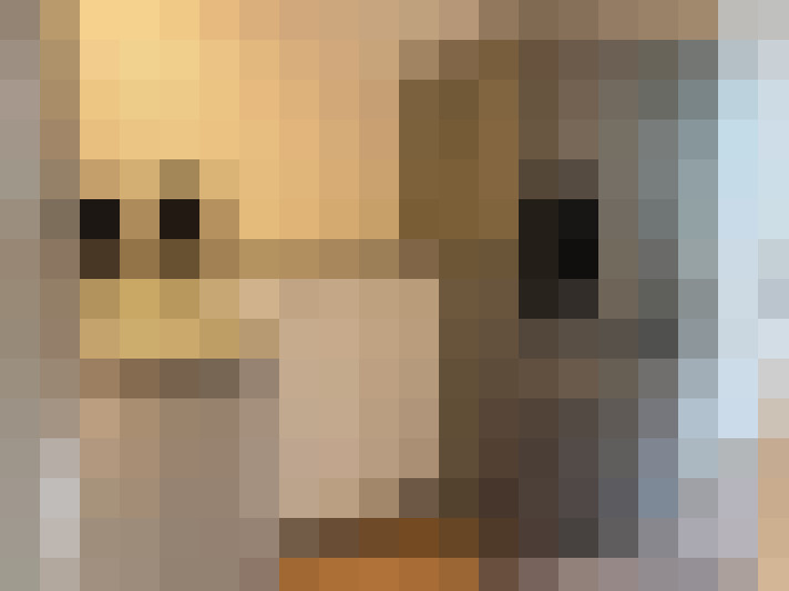  / #19
