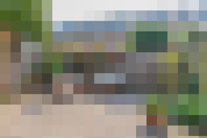  / #17