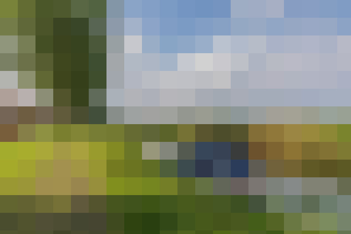  / #51